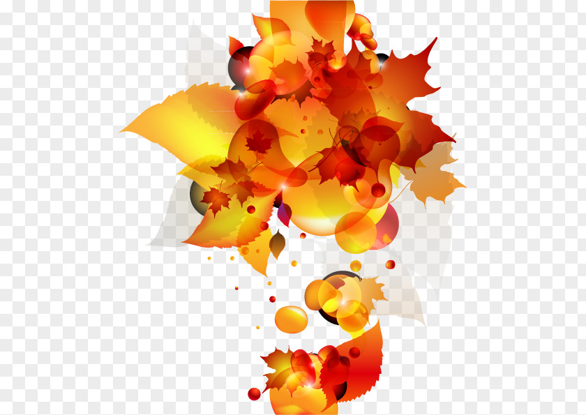Autumn Leaves Abstract Art Leaf PNG