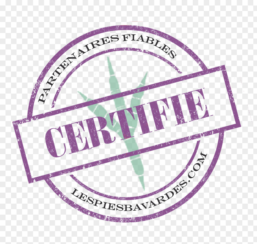 Business Third-party Inspection Company Certification ISO 13485 PNG