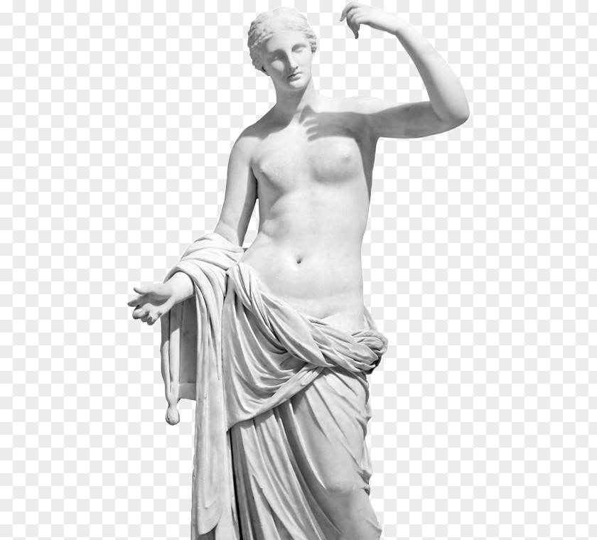 Design Statue Venus De Milo Art Sculpture Apollo Belvedere PNG