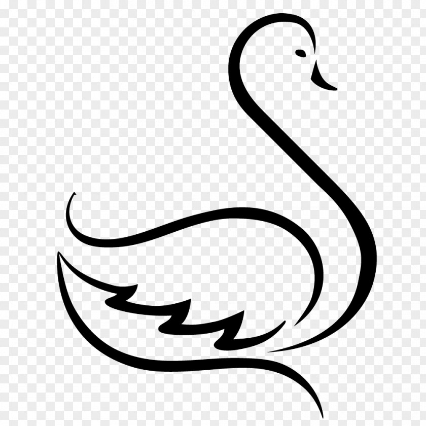 Duck Graphic Design Goose Cygnini PNG