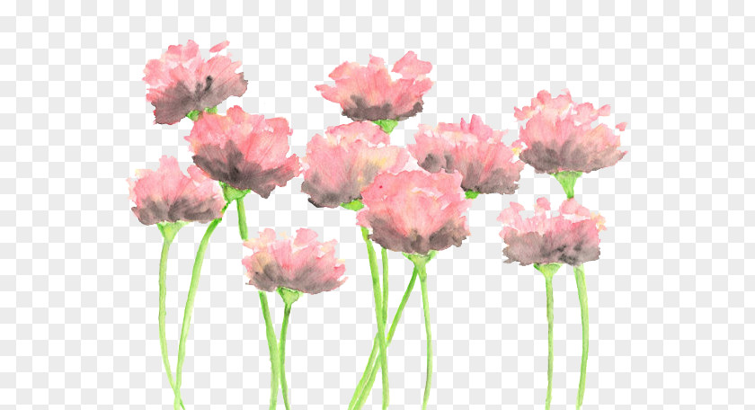 Painting Watercolour Flowers Watercolor: Watercolor Pink PNG