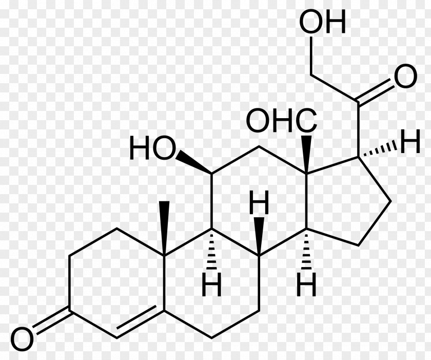 Progestogen Hydroxyprogesterone Pregnane Cortisol PNG