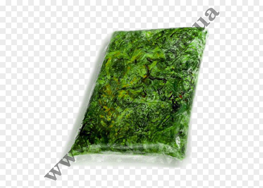 Salad Hiyashi Chūka Wakame Leaf Vegetable Price PNG