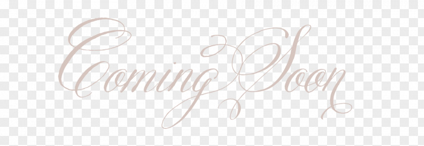 Sen Department Of Wedding Logo Drawing Brand Calligraphy Font PNG