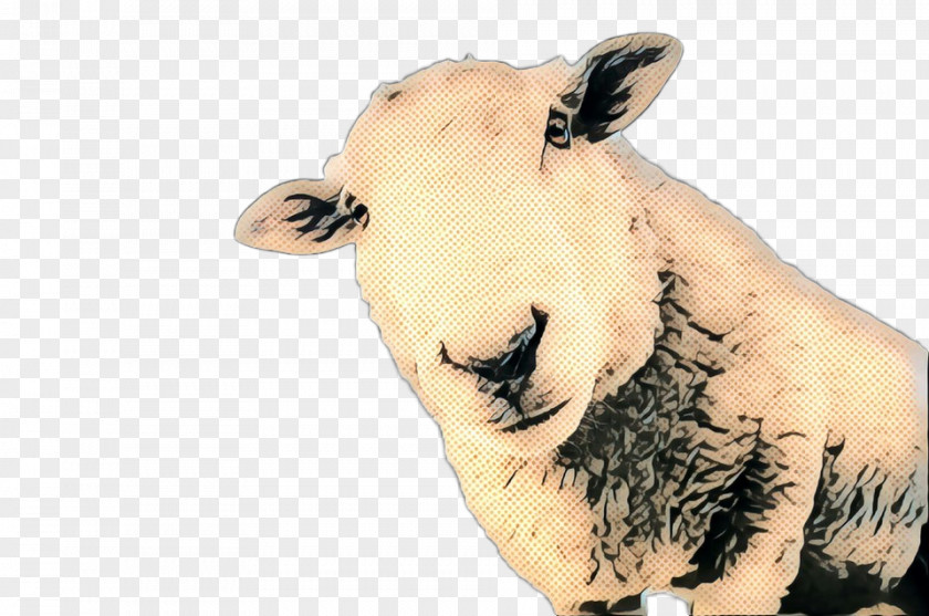 Sheep Cattle Neck Snout PNG