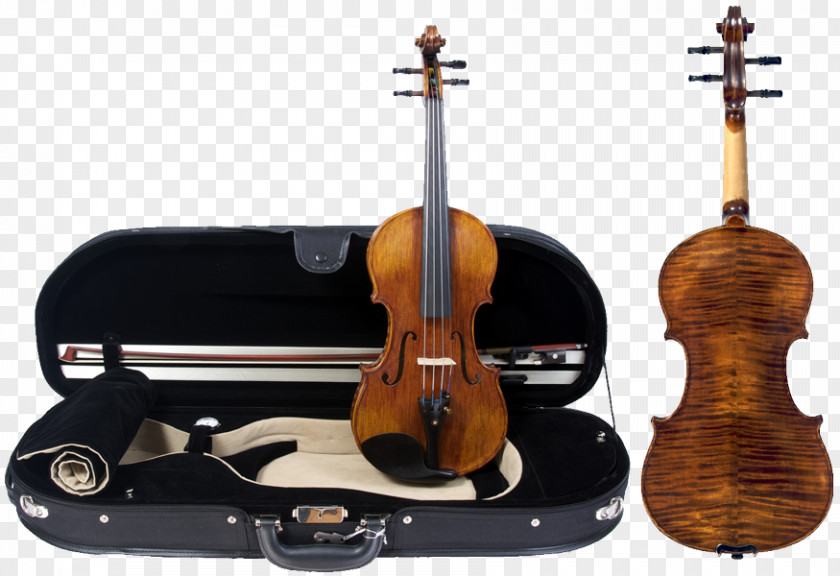 Violin Bass Viola Violone Cello PNG