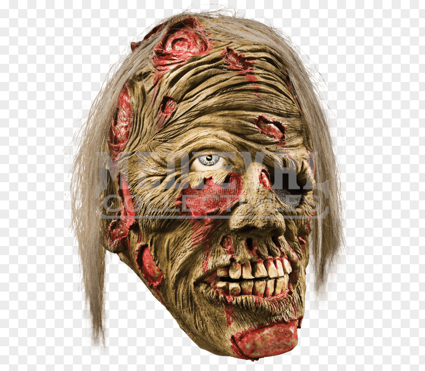 Mask Mouth Jaw Decomposition Face PNG