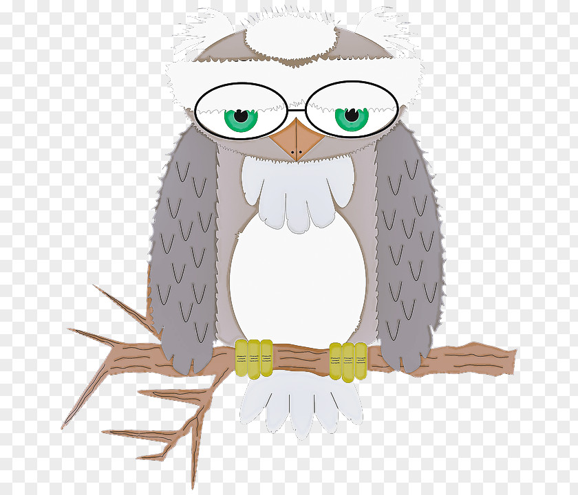 Owl Bird Of Prey Cartoon Eastern Screech PNG