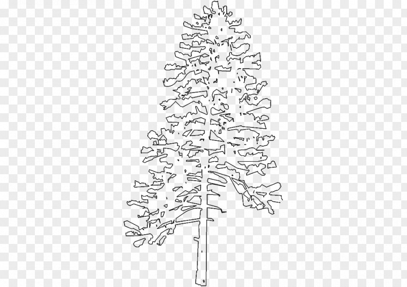 Tree Sketch Fir Spruce Christmas Twig Line Art PNG