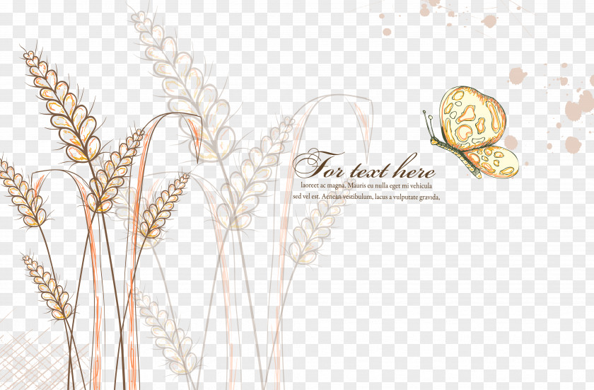 Vector Wheat Flower Download Floral Design Clip Art PNG