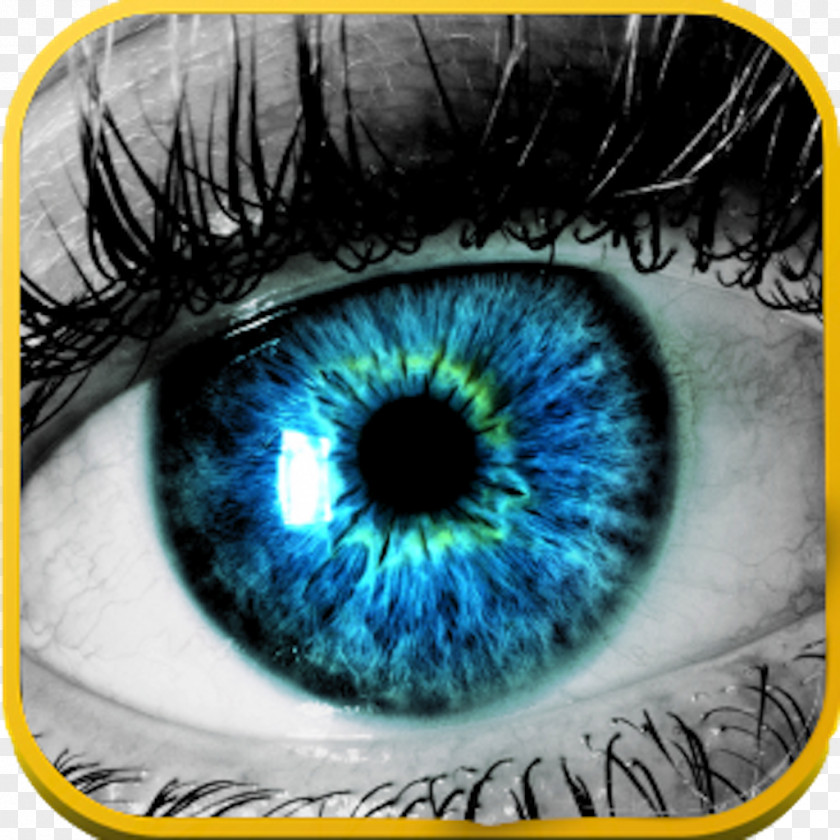 Colorful Eyes Eye Care Professional Human Retina Brain PNG