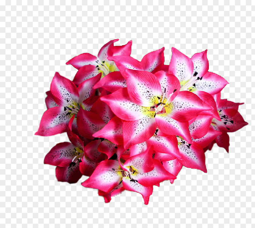 Flower Artificial Cut Flowers PNG