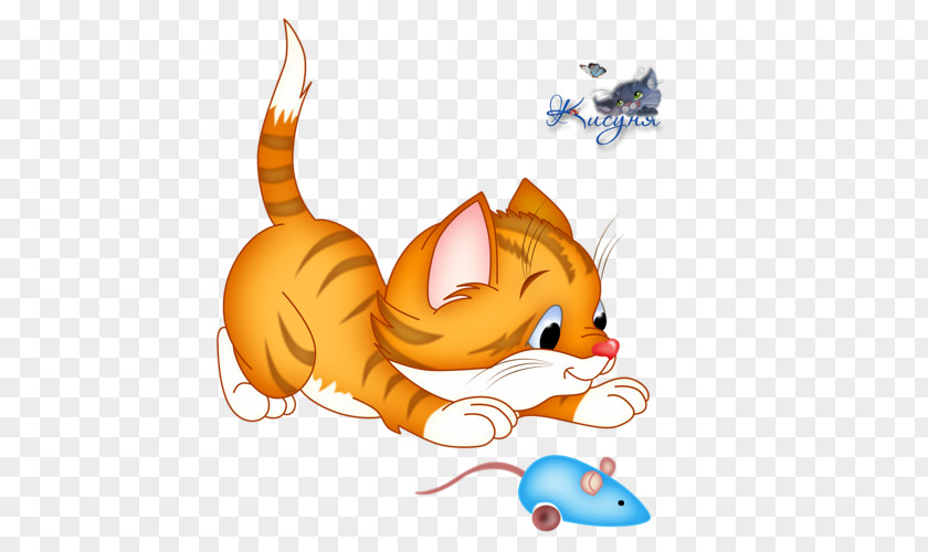 Kitten Whiskers Cat Clip Art PNG