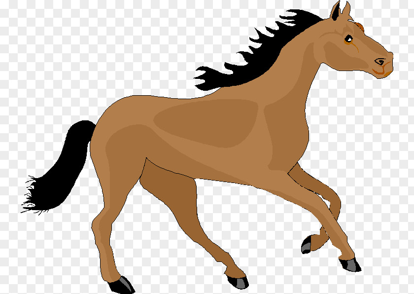 Mustang Foal Pony Stallion Clip Art PNG