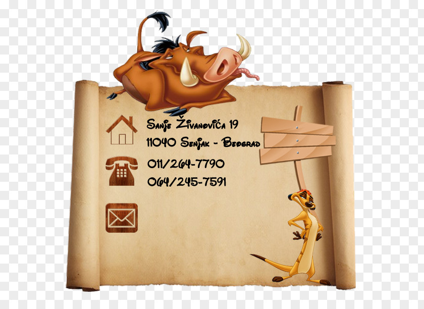 Pumba PUMBA Database All Rights Reserved Gmail PNG