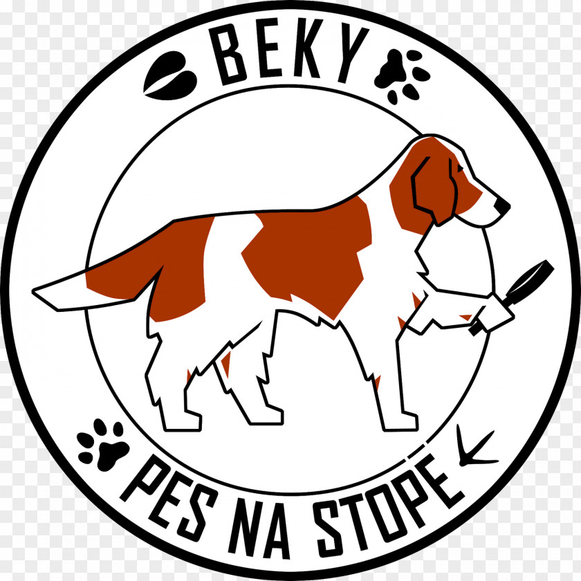 Puppy Dog Breed Welsh Springer Spaniel Zvíře PNG