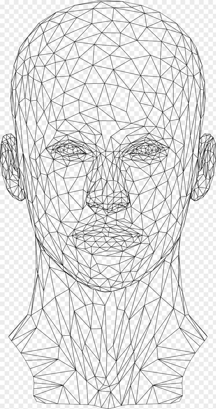 Wires Website Wireframe Wire-frame Model Human Head PNG
