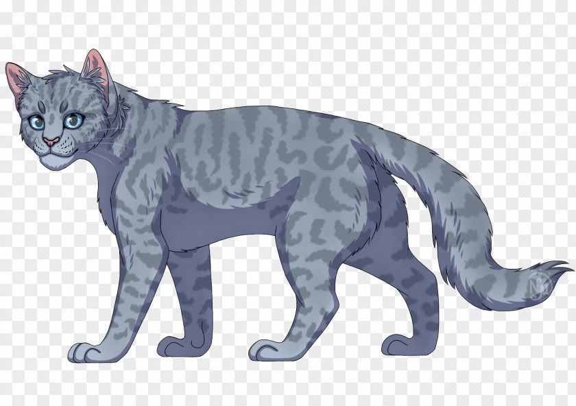 Cat Whiskers Domestic Short-haired SkyClan's Destiny Wildcat PNG