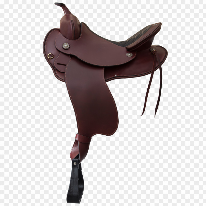 Chestnut Western Saddle Horse Schleese Saddlery English PNG