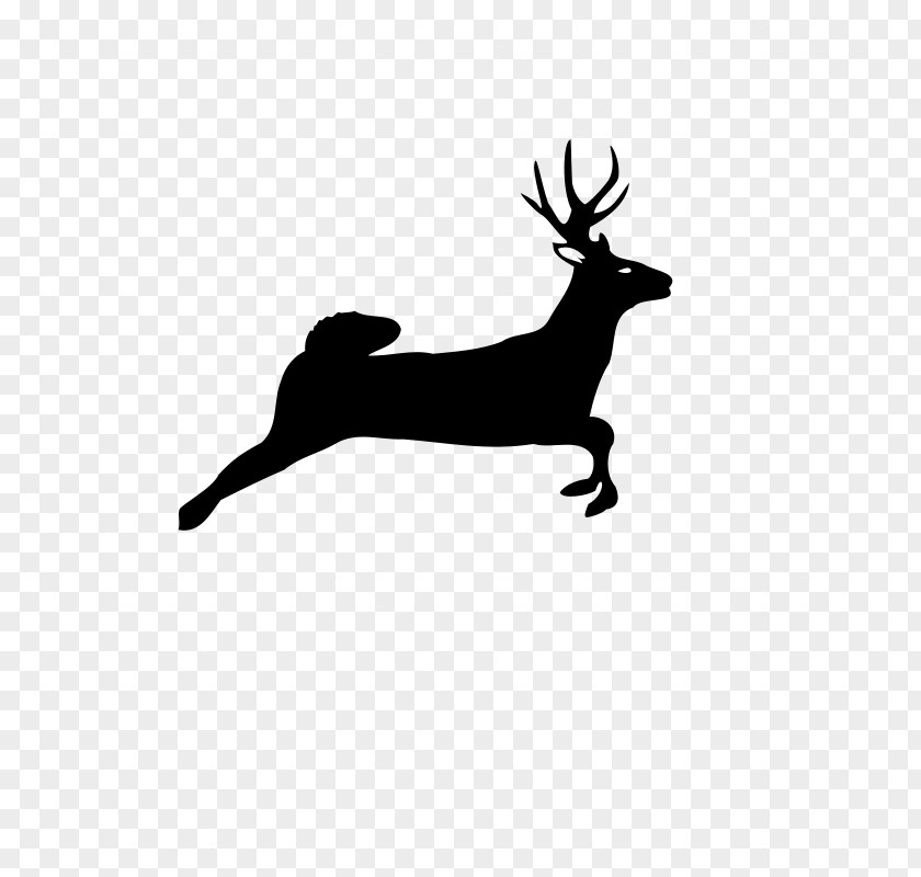 Deer White-tailed Red Clip Art PNG