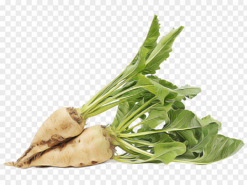 Herb Leaf Vegetable Food Plant PNG