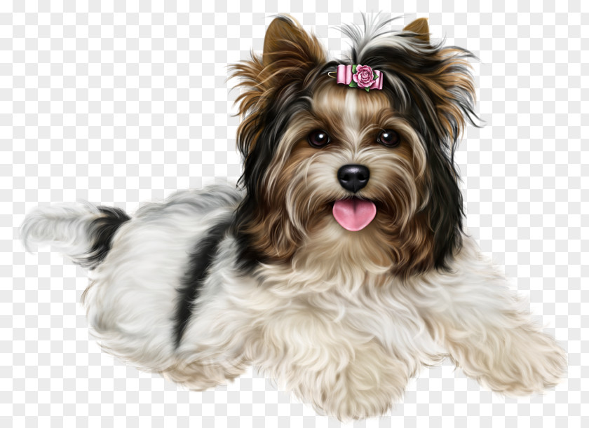 Puppy Yorkshire Terrier English Foxhound Beagle Biewer Maltese Dog PNG