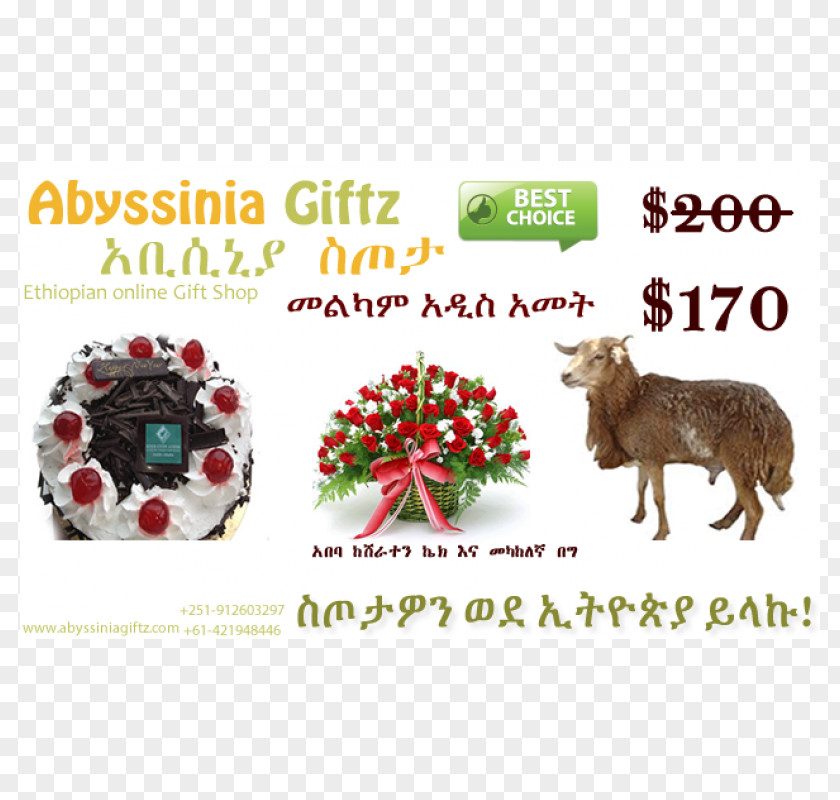 Sheep Addis Ababa Christmas Ornament Medium PNG