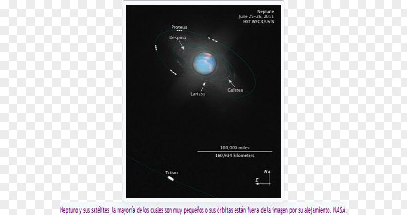 Sistema Solar Moons Of Neptune System Planet Nereid PNG