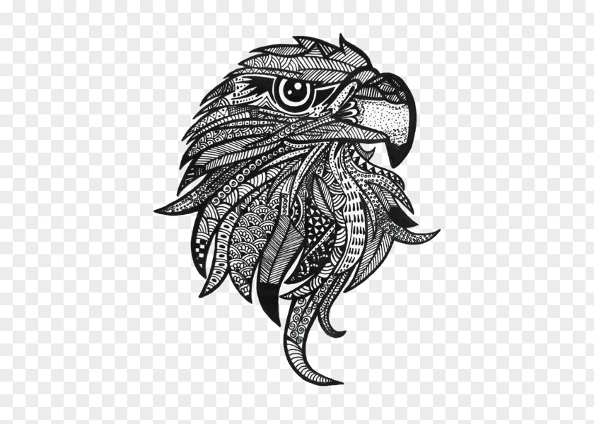 Zentangle Drawing Coloring Book Eagle PNG