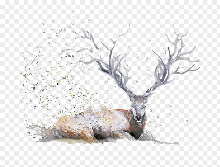 Cartoon Deer Antlers Watercolor Painting Drawing Illustration PNG