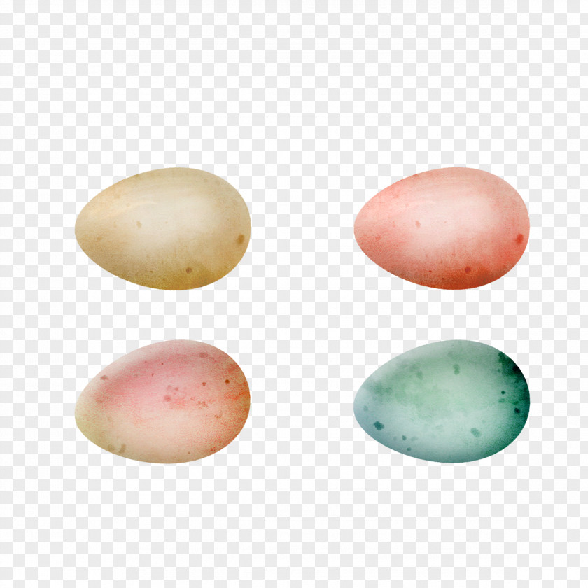 Eggs Easter Egg Chicken PNG