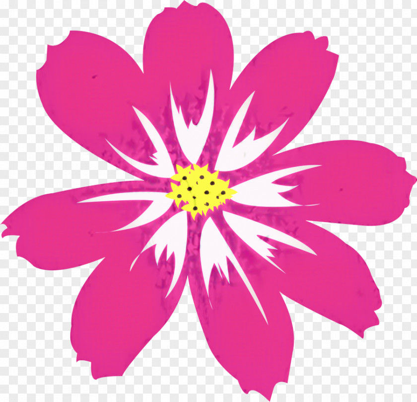 Pedicel Daisy Family Pink Flower Cartoon PNG