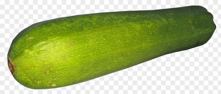 Zucchini Pickled Cucumber Wax Gourd Cucurbita Fruit PNG