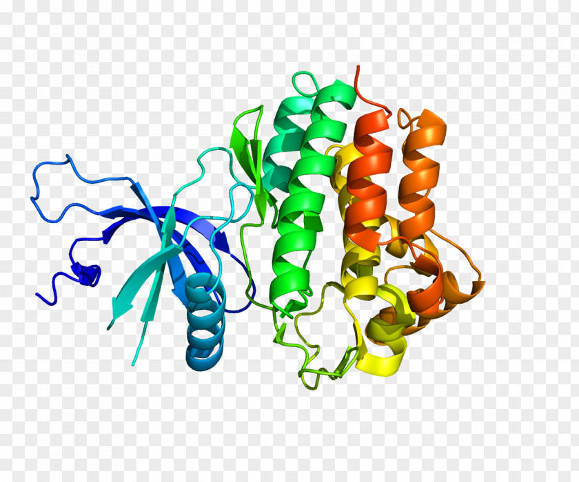 Antibody Janus Kinase 1 Cytokine Receptor Tyrosine PNG