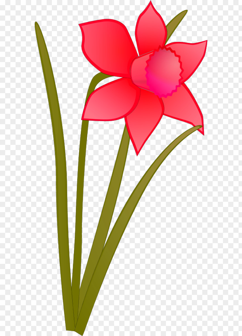 Cartoon Daffodil Flower Clip Art PNG