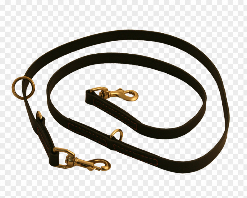 Dog Leash Collar Metal PNG