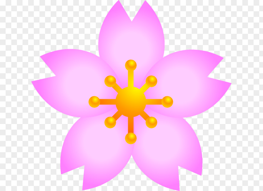 FLOOWER Petal Flower Cherry Blossom Clip Art PNG