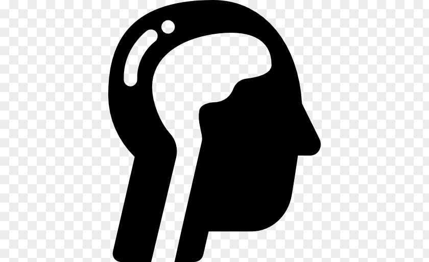 Human Brain Clip Art PNG