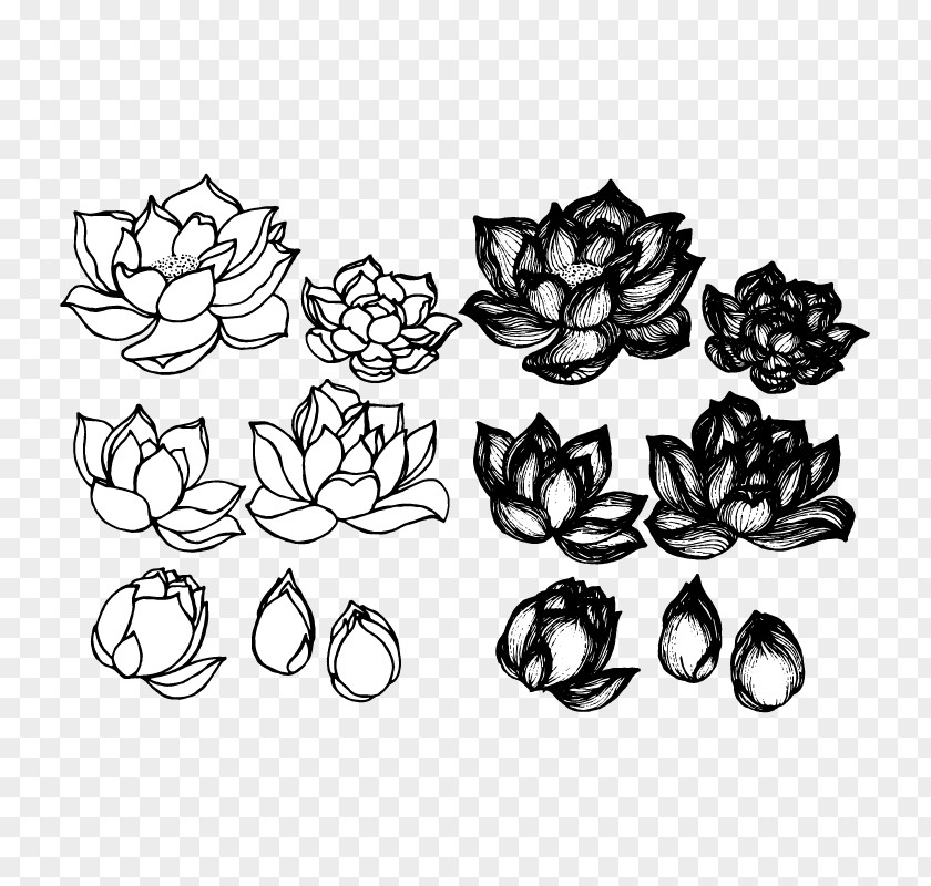 Lotus Sketches And Drawings Cars Drawing Croquis Sketch PNG