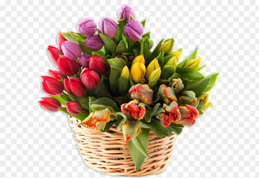 Tulip Mania Flower Bouquet Studio Urody ENeS PNG
