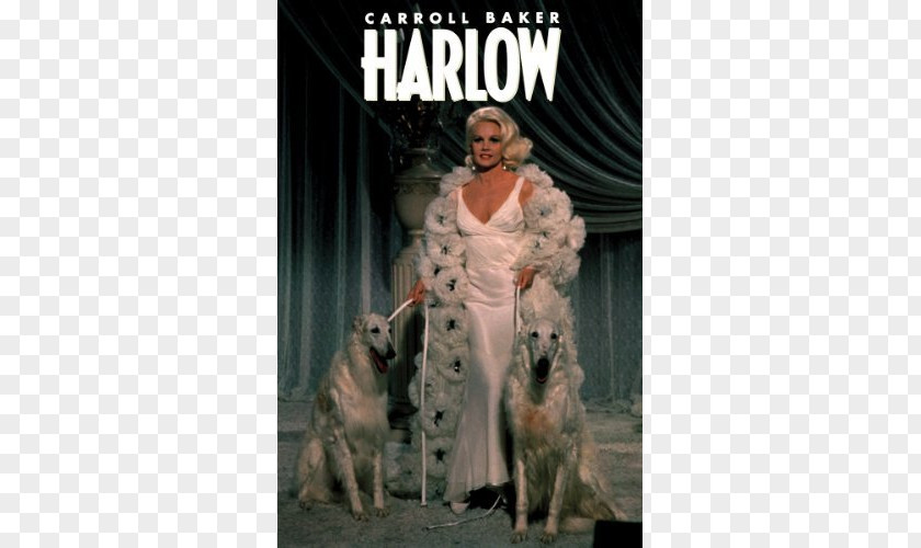 Actor Marino Bello Film Jean Harlow PNG