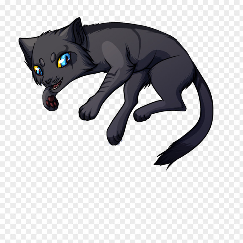 Cat Whiskers Paw Snout Claw PNG