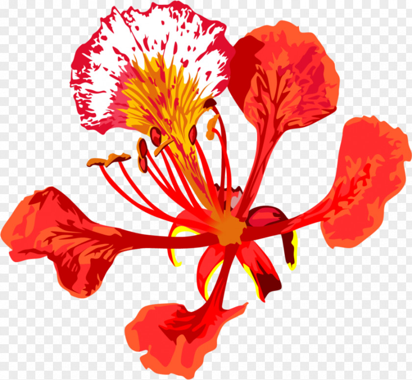 Flowers Line Drawing Royal Poinciana Flower Tree Floral Emblem PNG