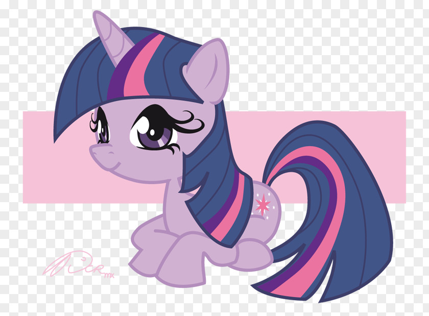 Horse Pony Cat Dog PNG