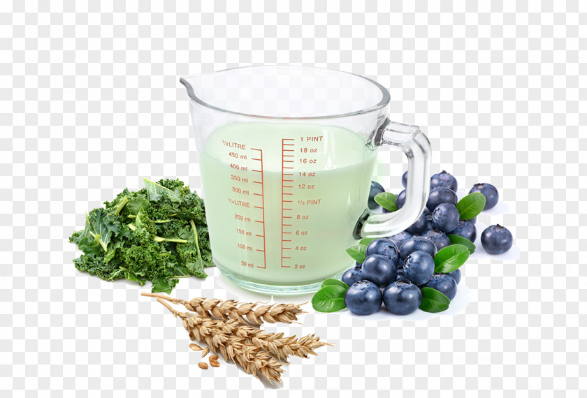 Kale Salad Cup Mug Superfood PNG