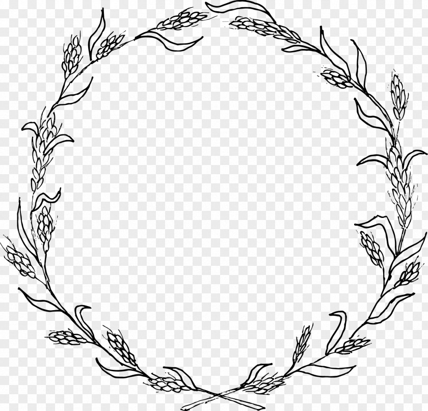 Plant Twig Flower Line Art PNG