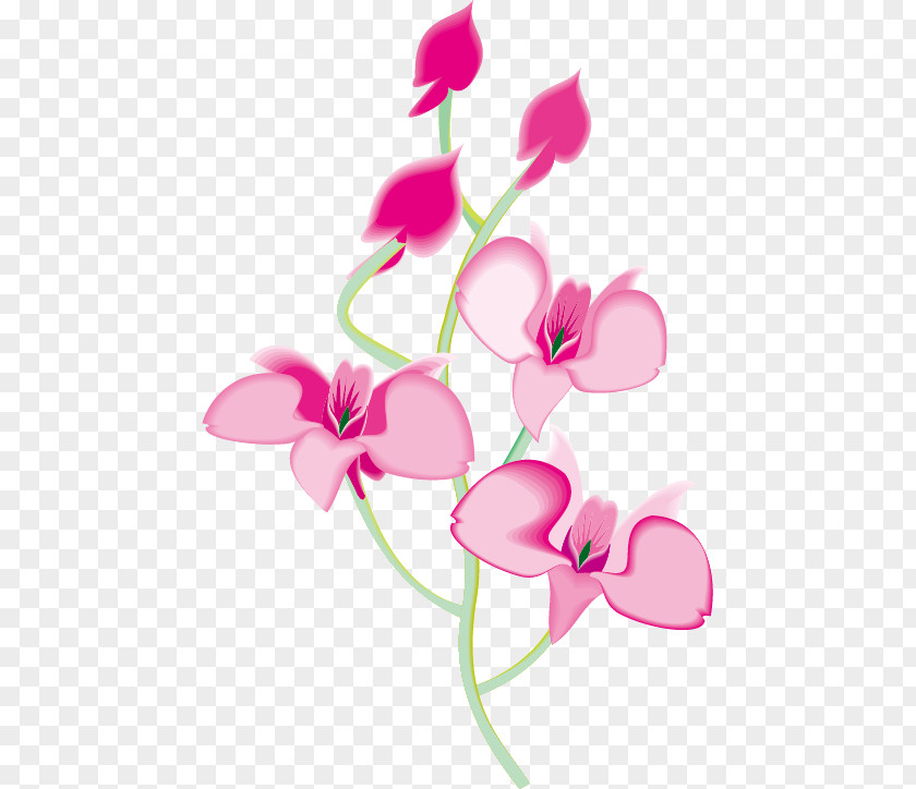 Vector Floral Pattern Orchids Animation Clip Art PNG