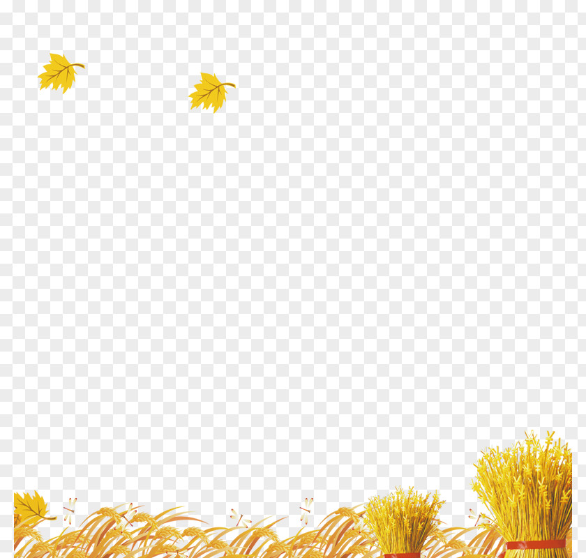 Autumn Harvest Yellow Pattern PNG