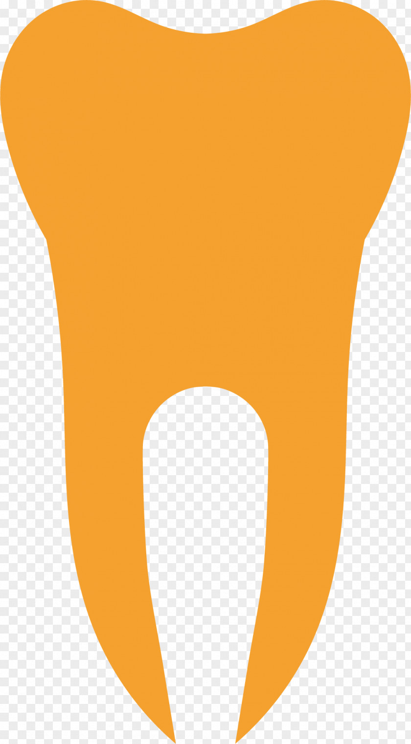 Cartoon Teeth Tooth Pathology PNG