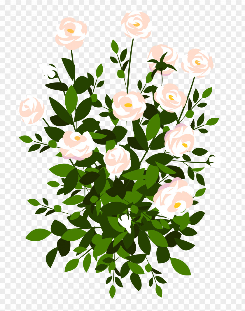 Green Bush Cliparts Rosa Multiflora Flower Clip Art PNG
